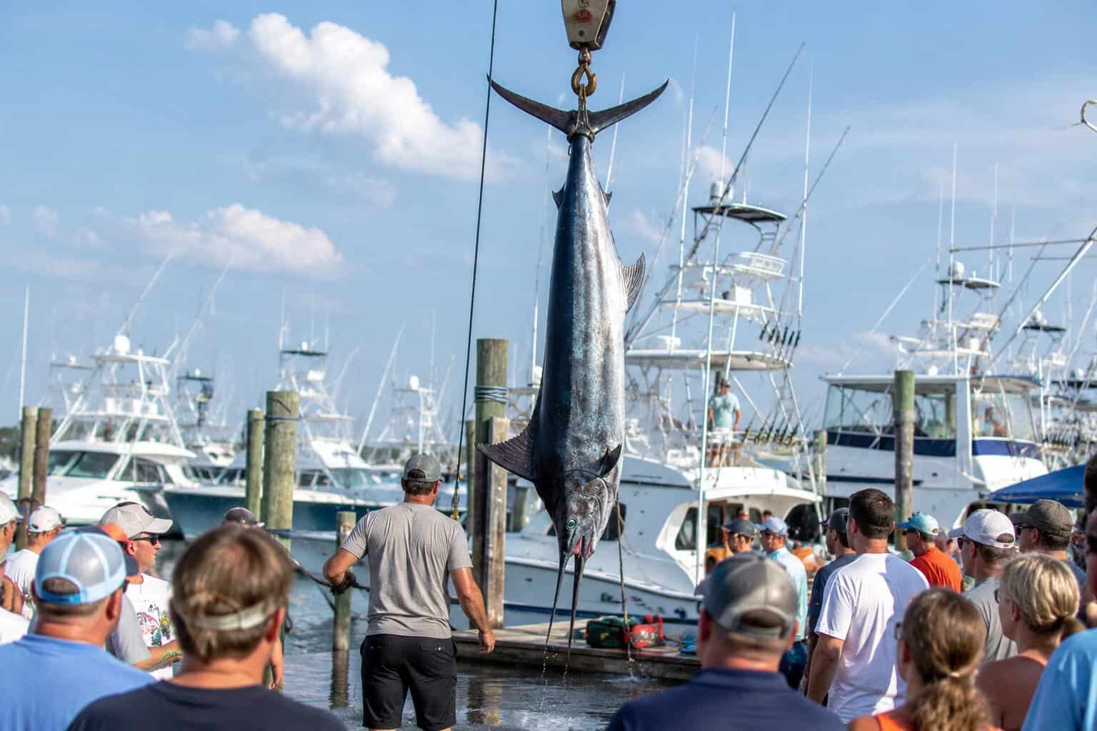 Outer Banks offshore fishing tournament weigh-in with boats and spectators